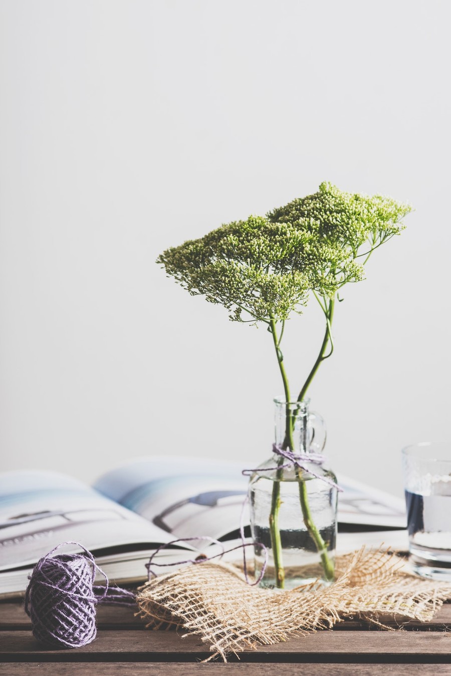 Plante verte dans un vase sur fond gris